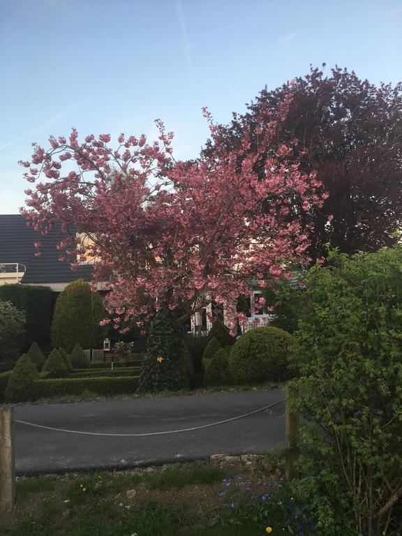 Aan de Vecht Villa Nederhorst den Berg Buitenkant foto