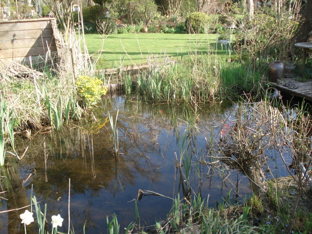 Aan de Vecht Villa Nederhorst den Berg Buitenkant foto