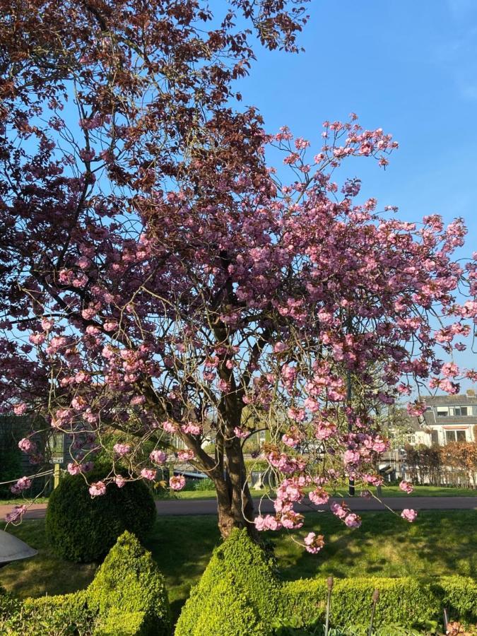 Aan de Vecht Villa Nederhorst den Berg Buitenkant foto